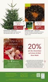 Aktueller Pflanzen Kölle Prospekt mit Lichterkette, "GROSSER WEIHNACHTSBAUM-VERKAUF", Seite 12