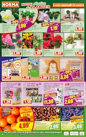 Poulet Angebote im Prospekt "Votre Discounter Régional" von Norma Poulet Angebote im Prospekt "Votre Discounter Régional" von Norma auf Seite 4