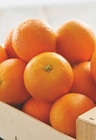 Intermarché Pont-du-Château - Promo Orange à jus et/ou à dessert Promo Orange à jus et/ou à dessert à 3,29 € dans le catalogue Intermarché à Pont-du-Château
