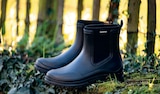 Kiebitzmarkt Buchholz - Damen-Stiefelette 'Talia' Angebot im Prospekt Damen-Stiefelette 'Talia' bei Kiebitzmarkt im Buchholz Prospekt für 29,99 €