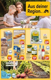 Ariel im REWE Prospekt in Rheda-Wiedenbrück Aktueller REWE Prospekt mit Ariel, "Dein Markt", Seite 25