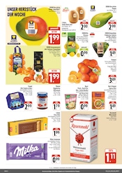 Milka im nah und gut Prospekt in Würzburg Aktueller nah und gut Prospekt mit Milka, "Wir lieben Lebensmittel!", Seite 2
