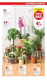 Promos Jardinage dans le catalogue "SUPER U" de Super U Jardinage en promo dans le catalogue Super U à la page 45