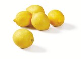 Bio Zitronen für 1,39 € bei Lidl im Angebot Bio Zitronen im aktuellen Lidl Prospekt