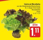 Aktuelles Salatrio mit Wurzelballen Angebot bei E center in Dresden ab 1,11 €