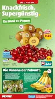 Penny Prospekt der Woche "Wer günstig will, muss Penny." Seite 2, 23.06.2025 bis 29.06.2025 für Mannheim Aktueller Penny Prospekt "Wer günstig will, muss Penny." Seite 2 von 37 Seiten für Mannheim