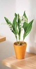 Muguet 3 Griffes - Intermarché à Bordeaux Muguet 3 Griffes en promo chez Intermarché Bordeaux à 4,79 €