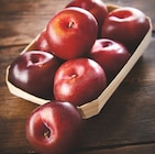 Intermarché Angers - Promo Prune rouge et/ou jaune Promo Prune rouge et/ou jaune à 1,99 € dans le catalogue Intermarché à Angers