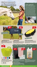 Aktueller Raiffeisenmarkt Prospekt mit Tierfutter, "Die Sommerzeit entspannt genießen", Seite 7