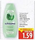 Schauma Shampoo oder Spülung Angebote von Schwarzkopf bei EDEKA Potsdam für 1,59 €