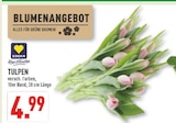 Tulpen im Angebot bei Marktkauf in Meerbusch Tulpen Angebote von EDEKA Herzstücke bei Marktkauf Meerbusch für 4,99 €