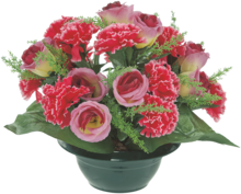 Serre De Jardin - Gifi Serre De Jardin à 15,00 € dans le catalogue Gifi "Vive la frousse"
