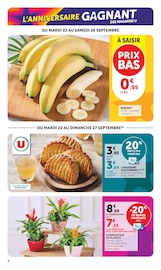 Plante Verte en promo dans le catalogue Super U à la page 8