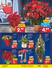 Aktueller Netto Marken-Discount Prospekt mit Weihnachtsstern, "Aktuelle Angebote", Seite 7