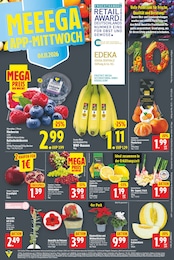 Amaryllis Angebot & Preis im aktuellen E center Prospekt Amaryllis Angebot im aktuellen E center Prospekt auf Seite 3