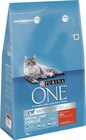 Croquettes pour chat stérilisé au bœuf - PURINA ONE - Géant Casino à Issy-les-Moulineaux Croquettes pour chat stérilisé au bœuf - PURINA ONE en promo chez Géant Casino Issy-les-Moulineaux à 8,91 €