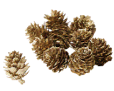 Promo 10 pommes de pin à 0,99 € dans le catalogue Gifi à Mainville