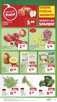 Mais Angebot im famila Nordwest Prospekt, gültig von 01.09.2025 bis 06.09.2025 Mais Angebot im aktuellen famila Nordwest Prospekt auf Seite 5
