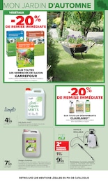 Prix et réduction Décoration Extérieure dans le prospectus Carrefour en cours Offre Décoration Extérieure dans le catalogue Carrefour du moment à la page 7
