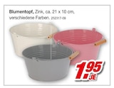 Blumentopf Angebote bei Möbel AS Bruchsal für 1,95 €