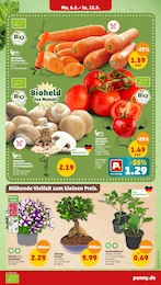 Bio Karotten Angebot im aktuellen Penny-Markt Prospekt auf Seite 3