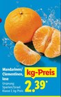 Mandarinen/Clementinen, lose von  im aktuellen Lidl Prospekt für 2,39 €