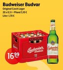 Budweiser Budvar im aktuellen Prospekt bei Getränke Hoffmann in Kölbingen