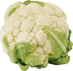 EDEKA Ostbevern - Blumenkohl Angebot im Prospekt Blumenkohl bei EDEKA im Ostbevern Prospekt für 1,99 €