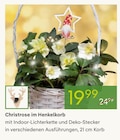 Christrose im Henkelkorb im Angebot bei Pflanzen Kölle in Sindelfingen Christrose im Henkelkorb Angebote bei Pflanzen Kölle Sindelfingen für 19,99 €