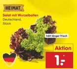 Aktuelle Salat Angebote bei Netto Marken-Discount in Wuppertal Aktuelles Salat mit Wurzelballen Angebot bei Netto Marken-Discount in Wuppertal ab 1,00 €