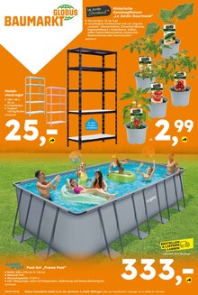 Pflanzen im aktuellen Globus-Baumarkt Prospekt (Krefeld) Pflanzen im Globus-Baumarkt Prospekt "Immer eine Idee besser" mit 16 Seiten (Krefeld)