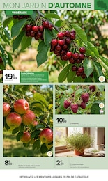 Prix et réduction Arbre Fruitier dans le prospectus Carrefour en cours Offre Arbre Fruitier dans le catalogue Carrefour du moment à la page 5