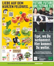 Pflanzen im Marktkauf Prospekt in Hattingen Aktueller Marktkauf Prospekt mit Pflanzen, "Aktuelle Angebote", Seite 3