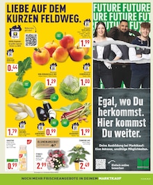 Äpfel im aktuellen Marktkauf Prospekt (Solingen (Klingenstadt)) Äpfel im Marktkauf Prospekt "Aktuelle Angebote" mit 26 Seiten (Solingen (Klingenstadt))