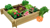 Promo CARRÉ POTAGER EN PIN AVEC SÉPARATEURS GARDENSTAR à 10,99 € dans le catalogue Auchan Hypermarché à Arles