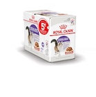 Bouchées en sauce Royal Canin® en promo chez Gamm vert Perpignan à 12,99 €