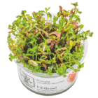 App DEAL Rabatt 1€ bei Das Futterhaus im Jena Prospekt für 