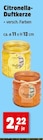 Thomas Philipps Nieder-Olm - Citronella-Duftkerze Angebot im Prospekt Citronella-Duftkerze bei Thomas Philipps im Nieder-Olm Prospekt für 2,22 €