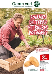 Alimentation Angebote im Prospekt "POMMES DE TERRE ET BULBES POTAGERS" von Gamm vert auf Seite 1