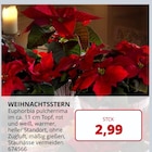 WEIHNACHTSSTERN bei BBM Baumarkt im Prospekt "" für 2,99 €