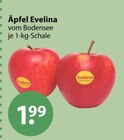 Evelina im aktuellen V-Markt Prospekt für 1,99 €