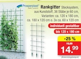 Rankgitter Stecksystem Angebote von Prosperplast bei Zimmermann Wiesbaden für 14,99 €
