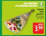 Fairtrade Rosen Karneval Angebote bei Marktkauf Görlitz für 3,99 €