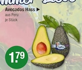 Avocados Hass im V-Markt Prospekt Avocados Hass von im aktuellen V-Markt Prospekt für 1,79 €