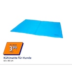 Kühlmatte für Hunde bei Action im Prospekt "" für 3,99 €