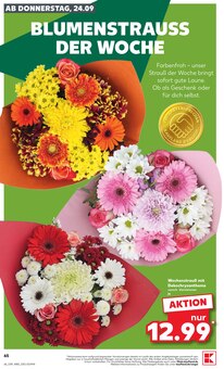 Blumen im aktuellen Kaufland Prospekt (Jena) Blumen im Kaufland Prospekt "Hier bin ich richtig" mit 72 Seiten (Jena)