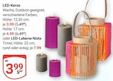 GLOBUS Braunschweig Prospekt mit  im Angebot für 3,99 €