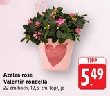 E center Denzlingen Prospekt mit  im Angebot für 5,49 €