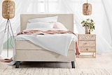 Aktuelles Boxspringbett SVENDBORG Angebot bei Trends in Bochum ab 999,00 €