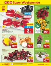 Vogelkäfig im Netto Marken-Discount Prospekt in Rosenheim Aktueller Netto Marken-Discount Prospekt mit Vogelkäfig, "Aktuelle Angebote", Seite 48